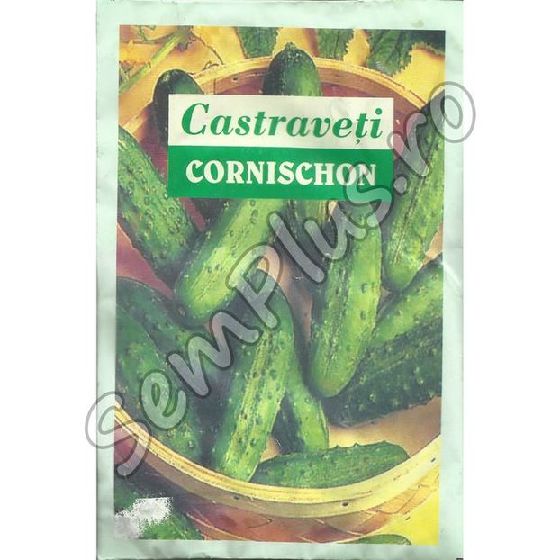 Seminte de castraveti cornichon Slanic - 10 grame - 4,99 lei - Seminte de castraveti cornichon