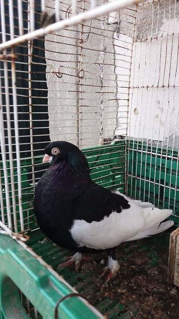 received_689610354551409