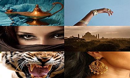 JΛƧMIПΣ > DΛY 50 - 03 JΛПЦΛЯY 2017