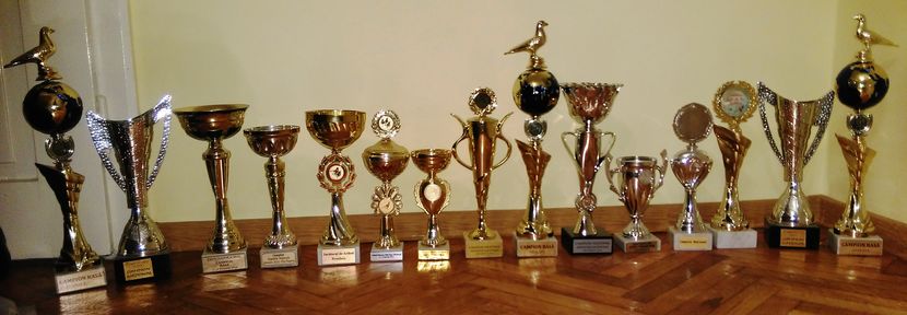 Trofee Campioni 2012-2013-2014-2015-2016 - TROFEE