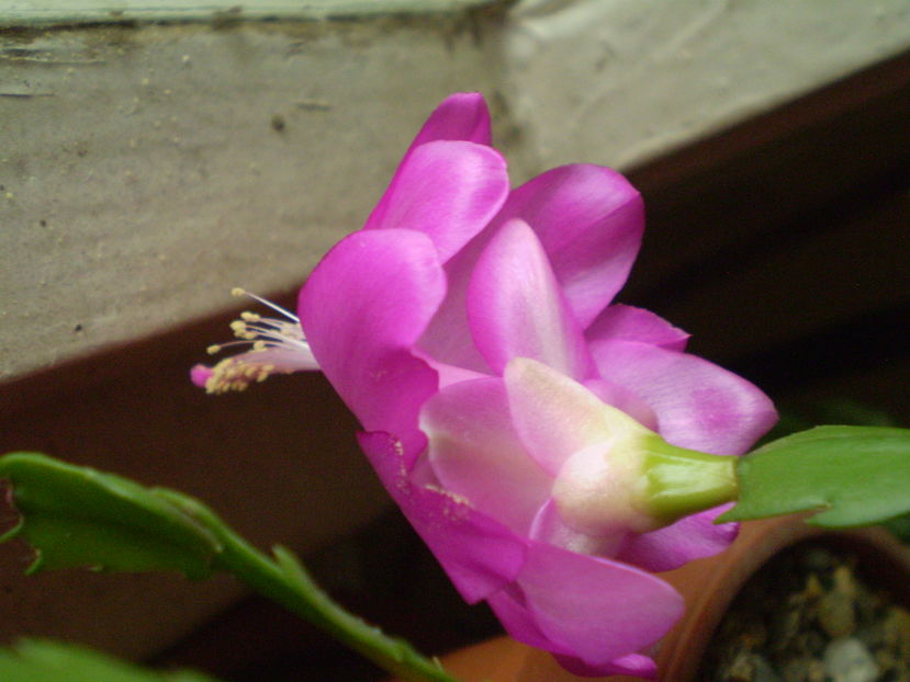 PA080027