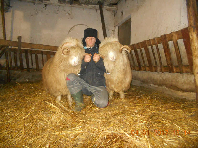 Picture 087 - Berbeci 2016-2017