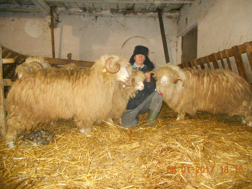 Picture 096 - Berbeci 2016-2017