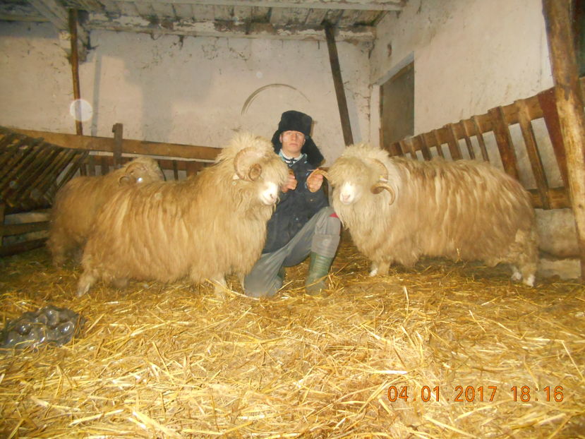 Picture 097 - Berbeci 2016-2017