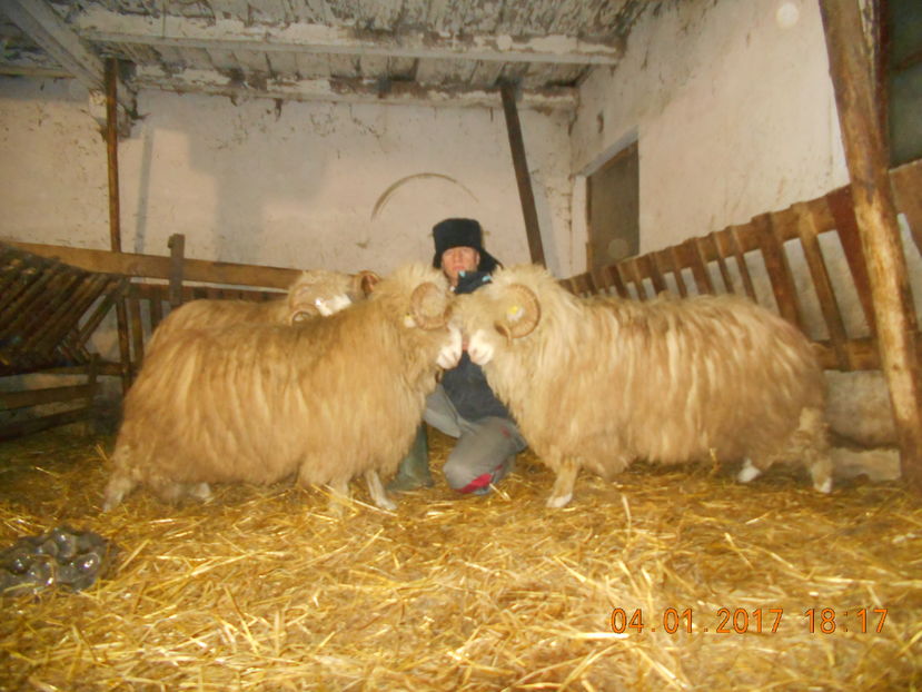 Picture 098 - Berbeci 2016-2017