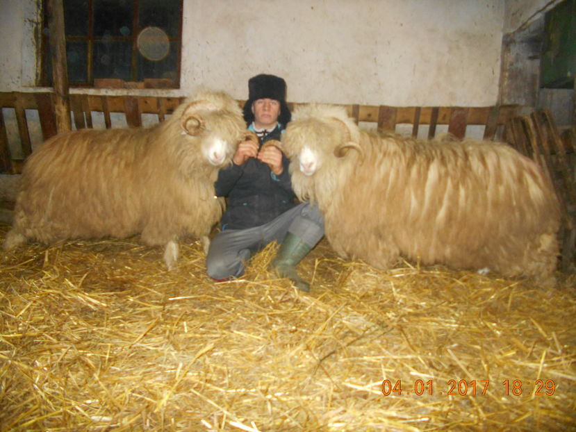 Picture 147 - Berbeci 2016-2017