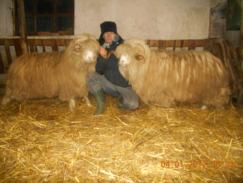 Picture 150 - Berbeci 2016-2017