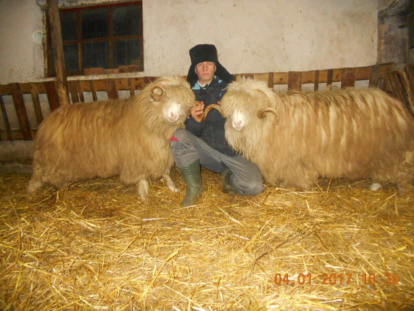 Picture 151 - Berbeci 2016-2017