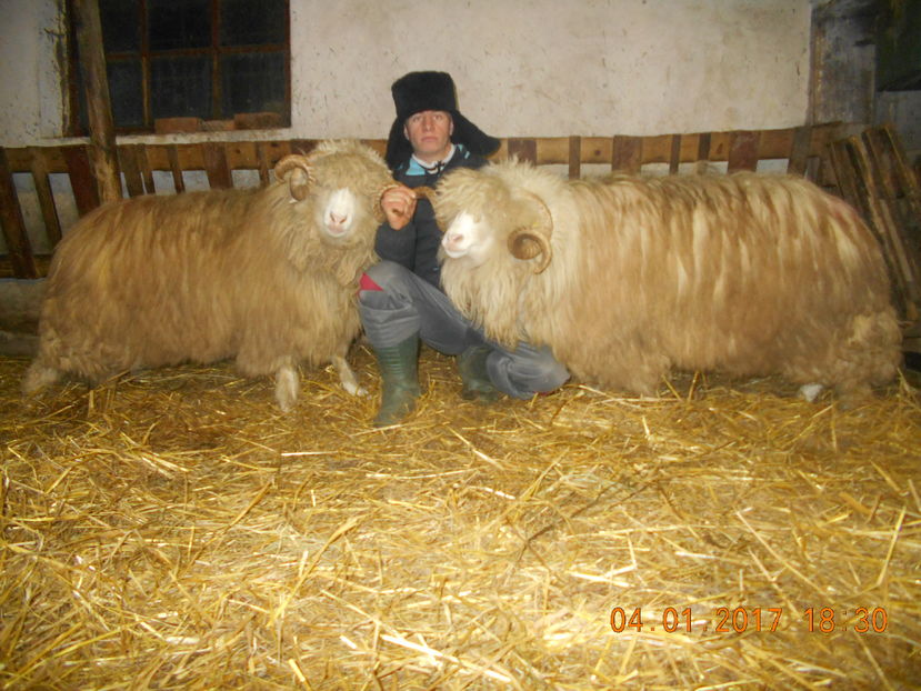 Picture 152 - Berbeci 2016-2017