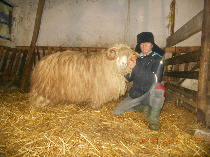 Picture 155 - Berbeci 2016-2017