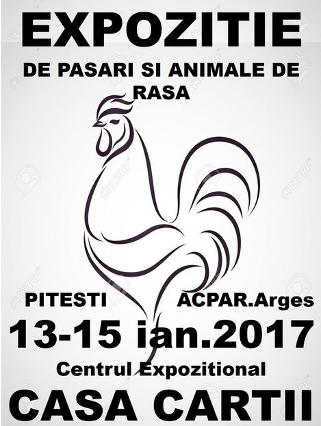 afis final - 2017 Expo Arges Ianuarie