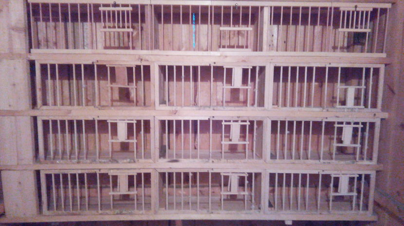  - casa porumbeilor