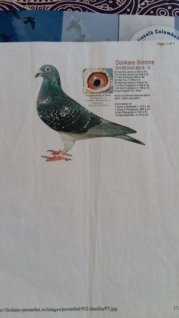 FREIALDENHOFEN - FOTO PORUMBEI DE BAZA