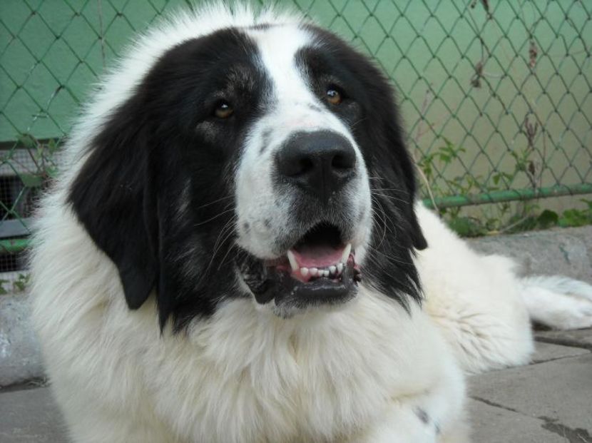 1379619663-dscn0805 (1)