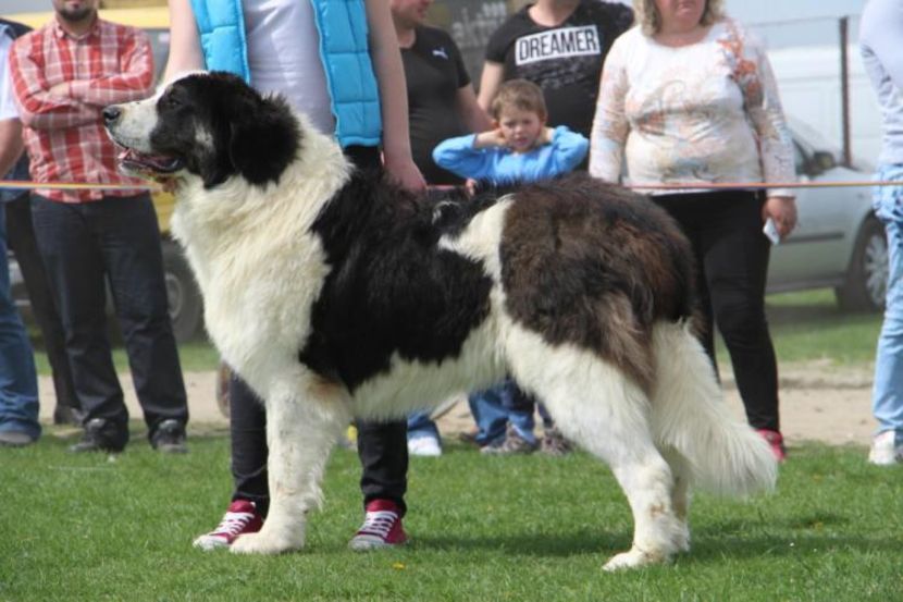 1462190889-img_7006-1030x687