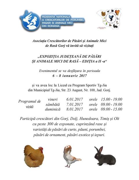 15578316_1716316428698039_3580238730750276784_o - Expozitia judeteana de pasari si animele mici de rasa -editia a 2-a