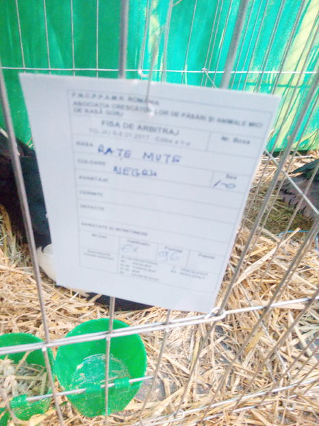 Fi%u0219a ratoiului lesesc pt domnul CosminN