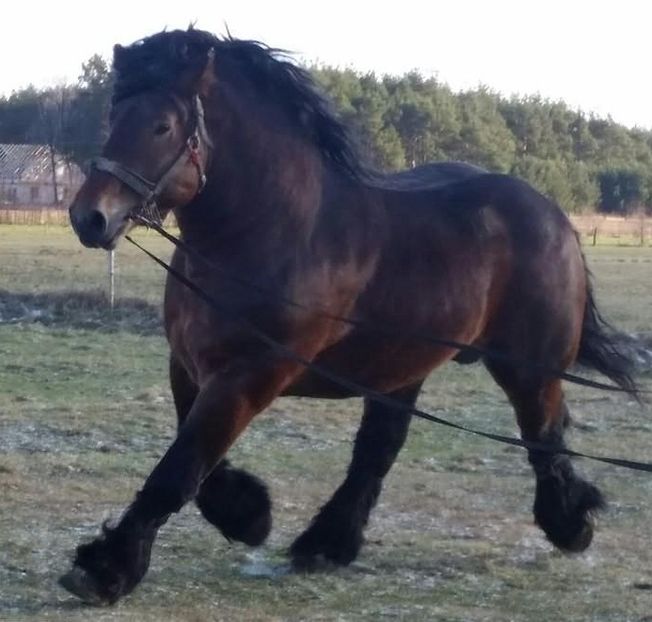 27821053_3552_d - ALTI ARMASARI FRUMOSI nu ii detin