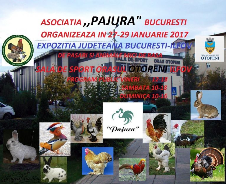 AFIS EXPOZITIE - Expo Pajura 2017