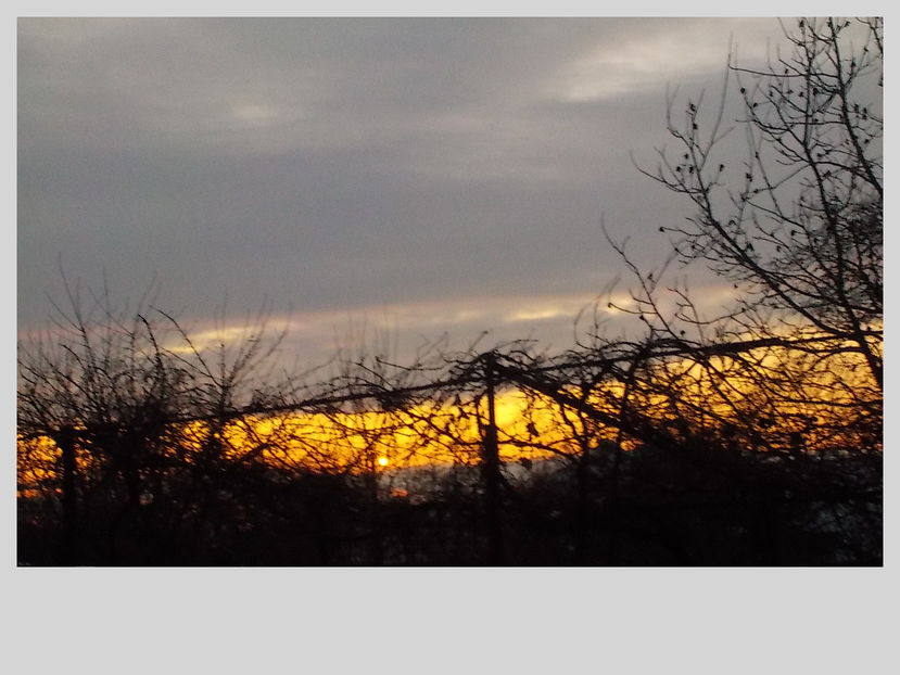 grade - apus de soare