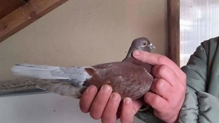 received_398024020540248