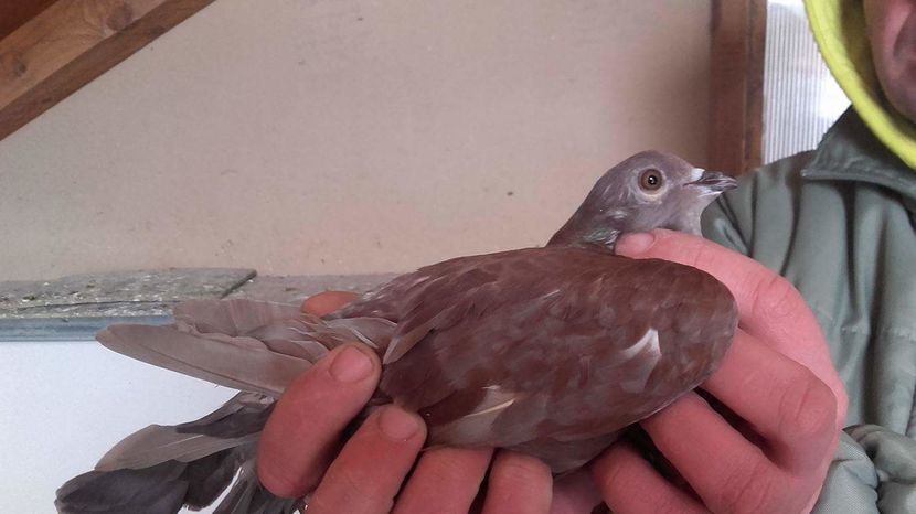 received_1365970493435951