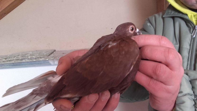 received_1365970516769282