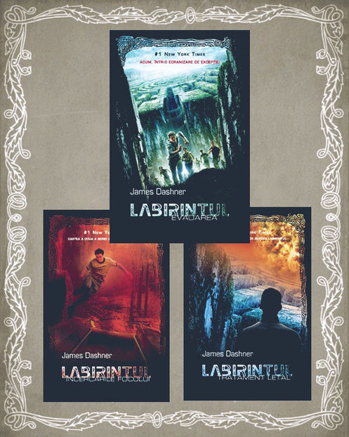 WildChild; trilogia ❝Labirintul❞ (Evadarea; Încercările Focului; Tratament Letal), de James Dashner
