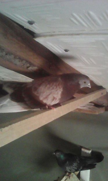 received_763569660458950