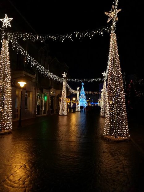 15747481_1118329844932346_6013867355833107750_n