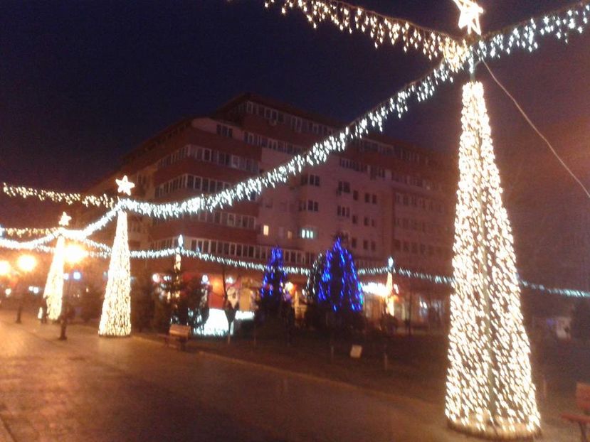 15940636_1128923047206359_2908849480991011518_n