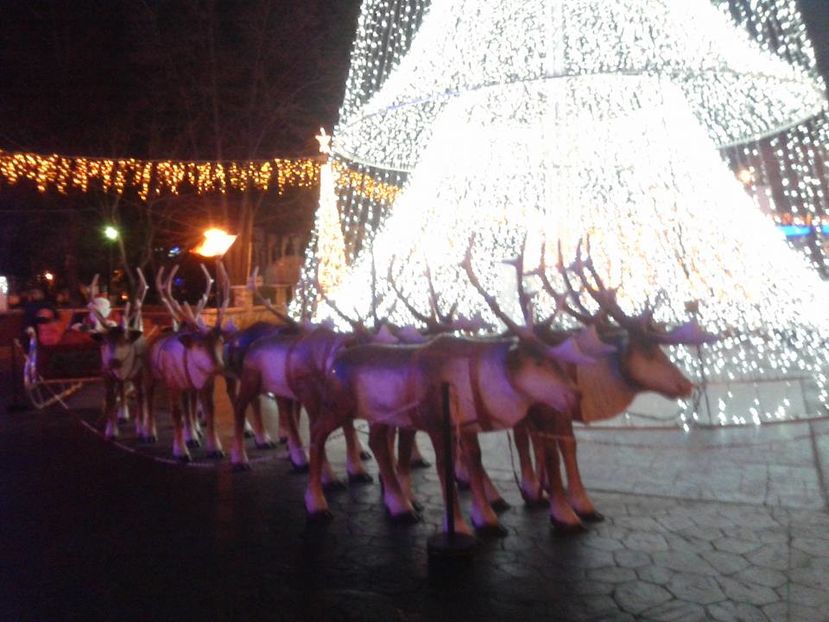 15940997_1128922497206414_4423943401509933398_n