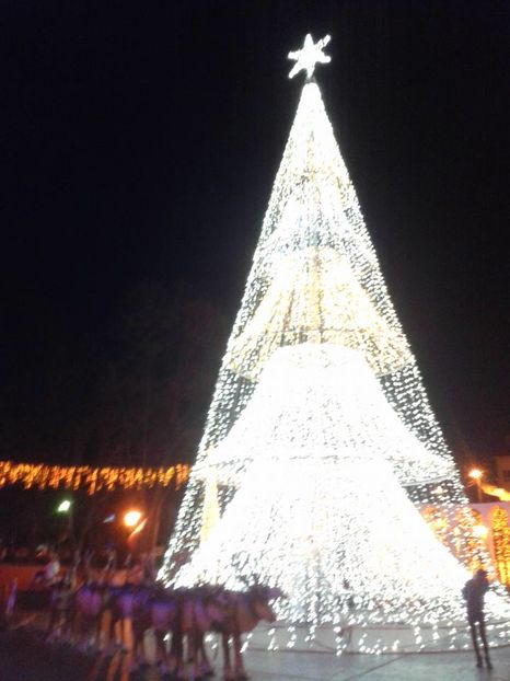 15965810_1128922643873066_436648152582579862_n - TG-JIU DE SARBATORI