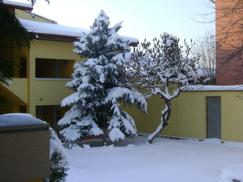 Gerul Bobotezei 2017