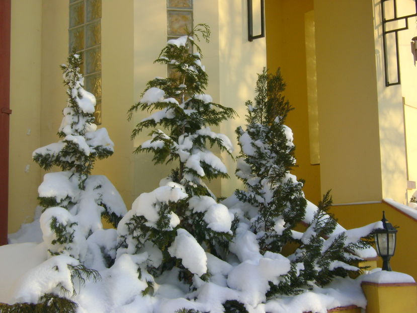 Gerul Bobotezei 2017