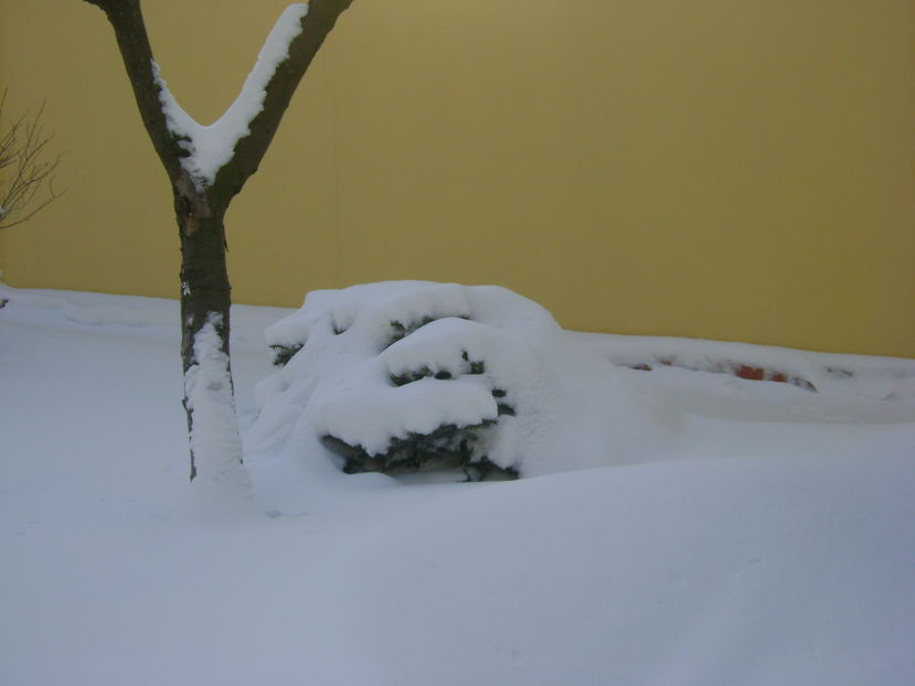 Gerul Bobotezei 2017