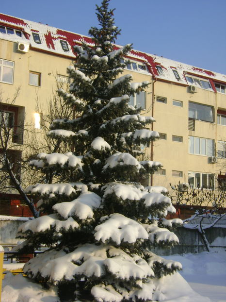 Gerul Bobotezei 2017