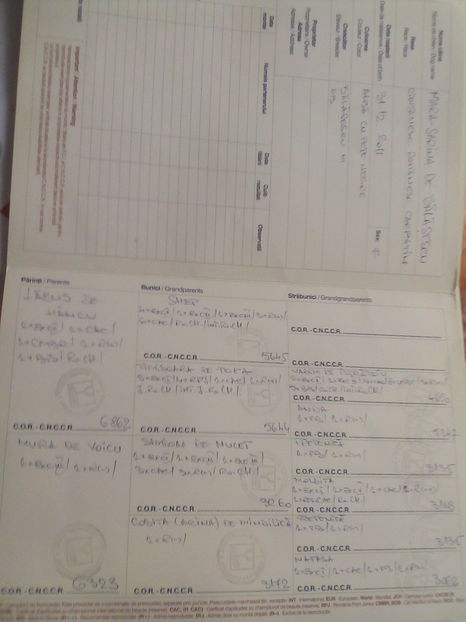 Mama la câine tatăl la pui; Asta e mama la câinele din care am catei
