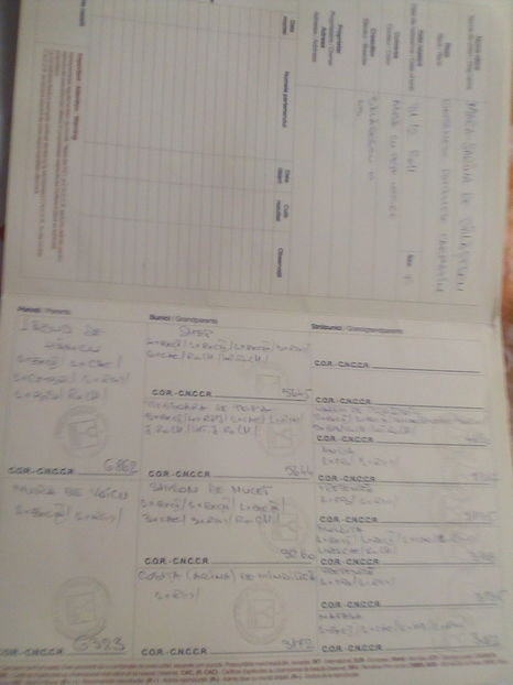 Mama la caine; Mama la câine din care am catei
