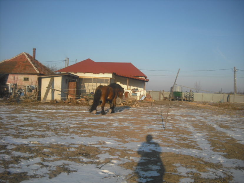 CIMG9084