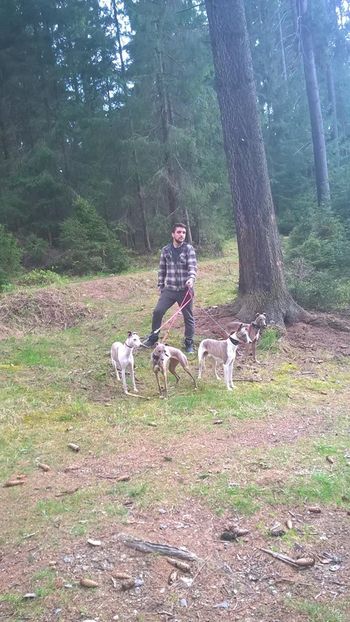 13048181_498948196980035_4952151504291924411_o