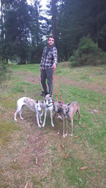 13055031_498950790313109_4899202075192877163_o