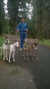 13062338_498950990313089_1404874450272527680_n