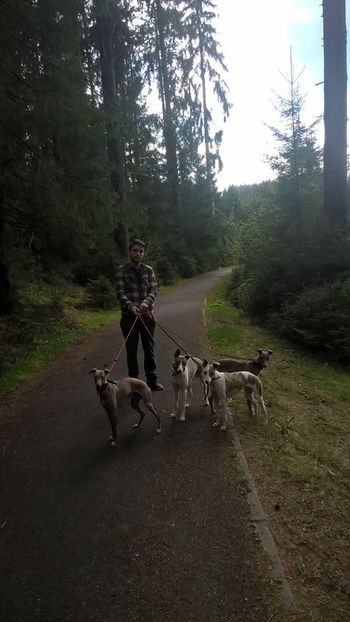 13071937_498946993646822_3969168718283974901_o