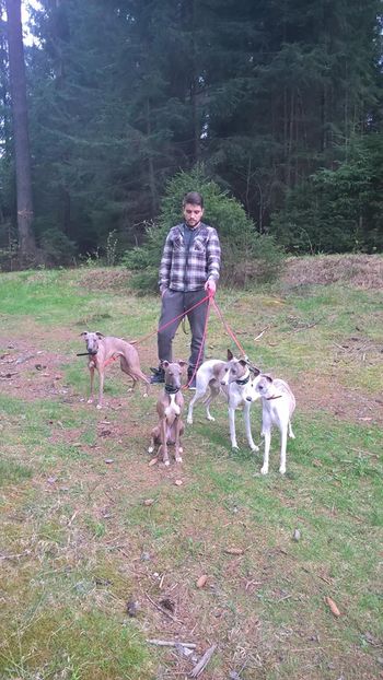 13072907_498950890313099_6282565011553346614_o