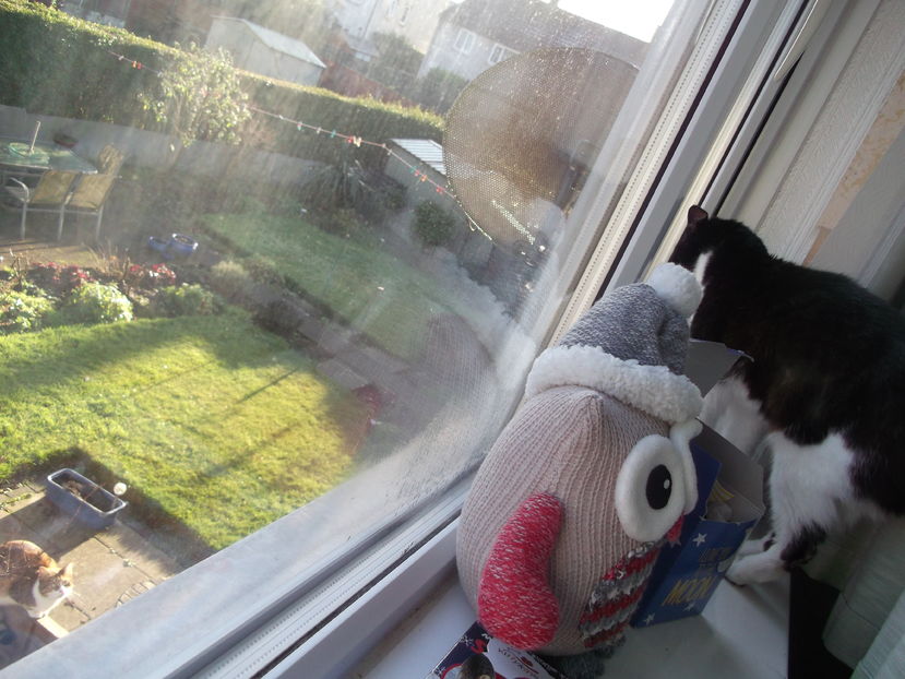 convorbire romantica...:))