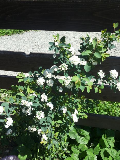 20160422_135631 - Copy