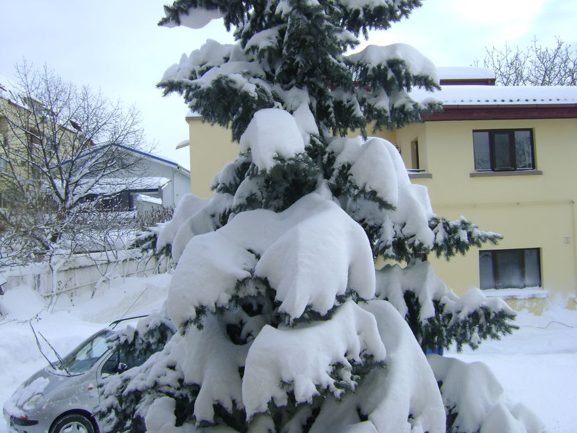 Al 2-lea viscol in 10 zile; 10-11 ian 2017
