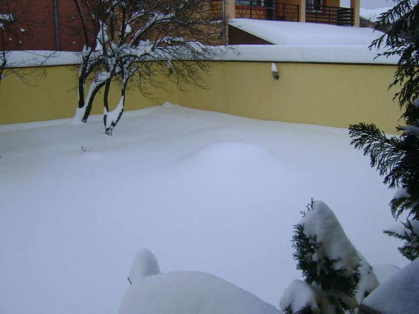 Al 2-lea viscol in 10 zile; 10-11 ian 2017
