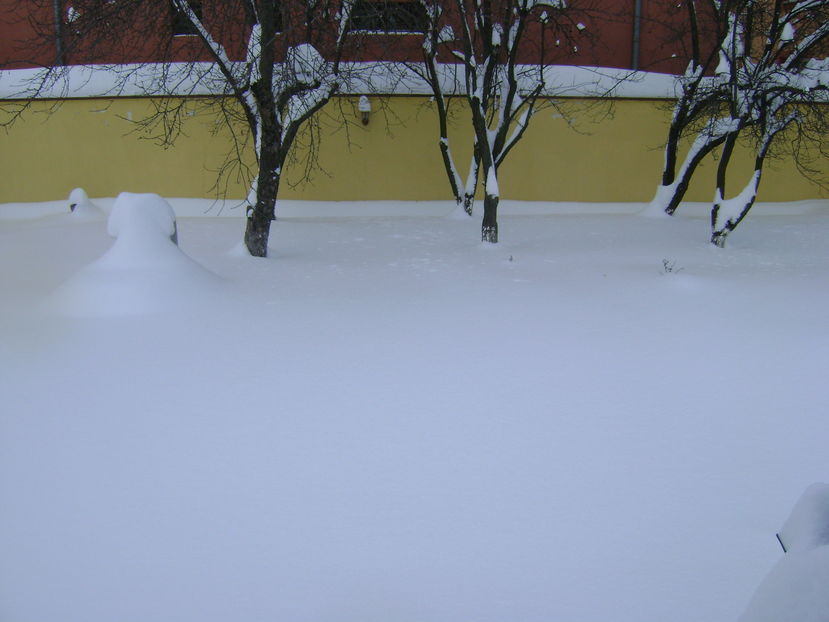 Al 2-lea viscol in 10 zile; 10-11 ian 2017
